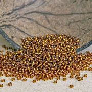 Бисер японский MIYUKI Round Rocailles 11/0 RR-2422 (уп 5 г)
