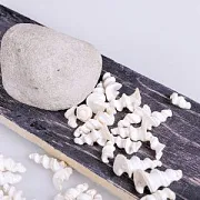 Бусина из ракушки, "Спира", светлые тона, 22-31x11-17 мм (уп. 20 г)
