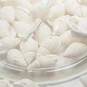 Бусина из ракушки, "Спираль", светлые тона, 10-12x19-25x7-9 мм