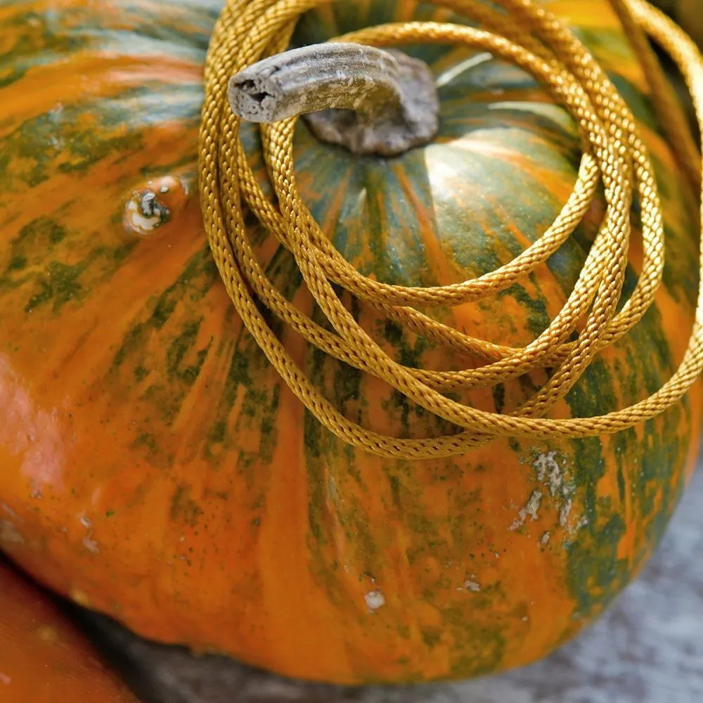 шнур, полиэстер, круглый, цвет золотистый, 2 мм  